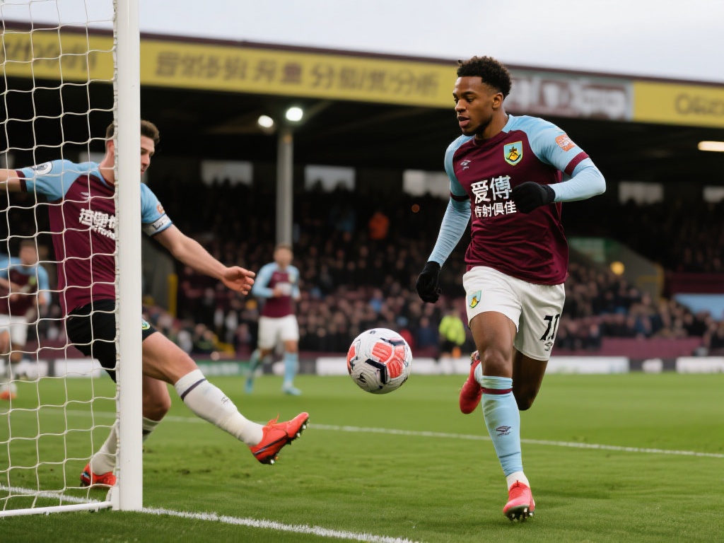 能让你在参 能让你在参